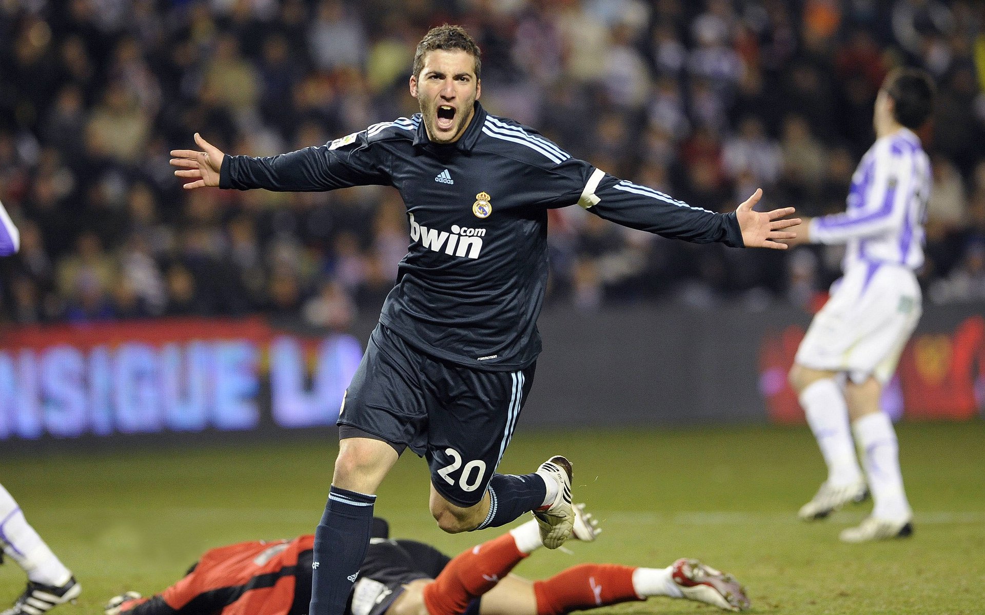 澳大利亚袋鼠队的身体对抗强度成其比赛亮点，袋鼠澳大利亚度百科